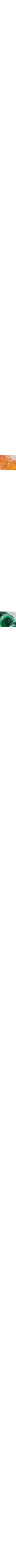 Vert à motifs