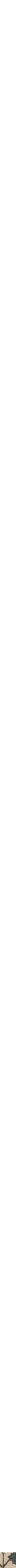 Assorti