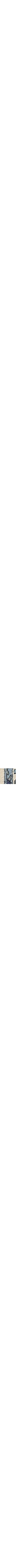 Patterned Blue
