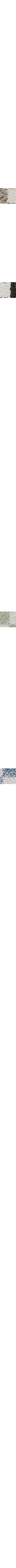 Patterned Blue