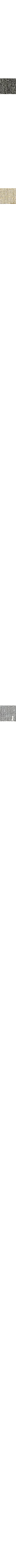 Slate Grey