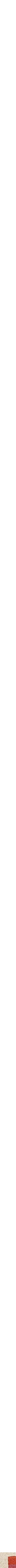 Assorti