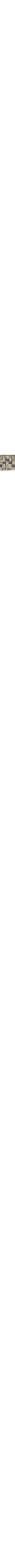 Brun à motifs
