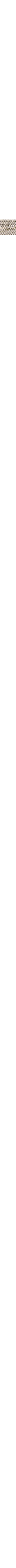 Ecru/Linen