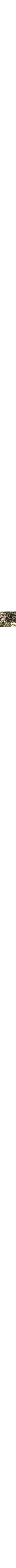Vert à motifs