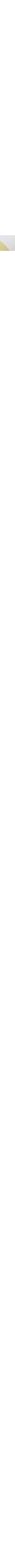 Écru à motifs
