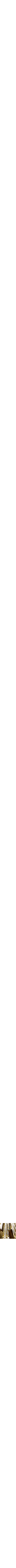 Doré