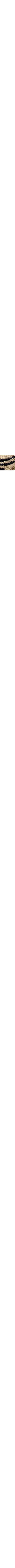 Brun à motifs