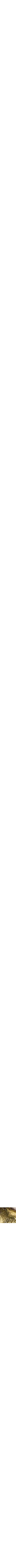 Or