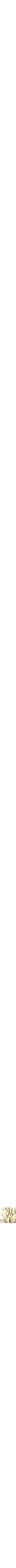 Assorti