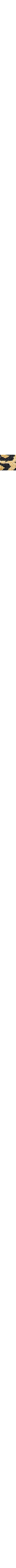 Brun à motifs