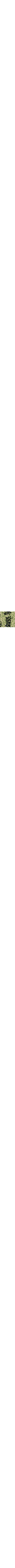 Vert à motifs