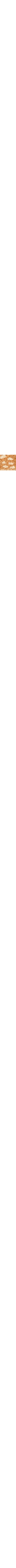 Brun à motifs