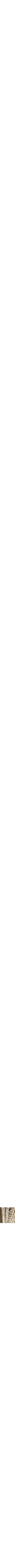 Or