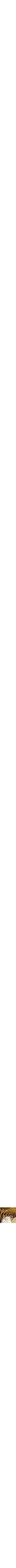 Or
