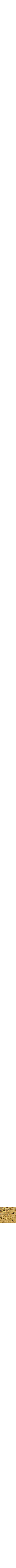 Coeur