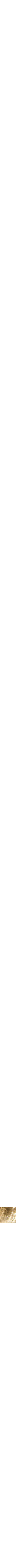 Assorti