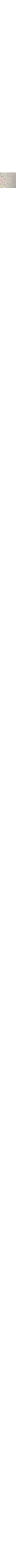 Blanc cassé