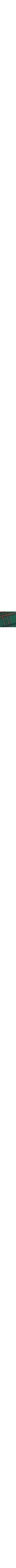 Vert à motifs