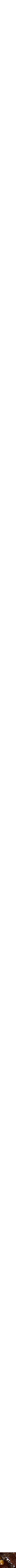 Assorti