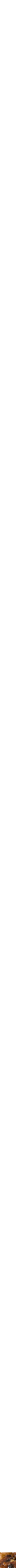 Assorti