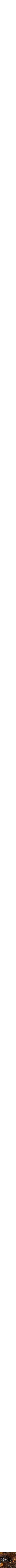Assorti