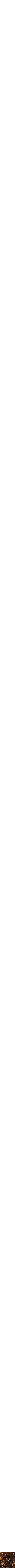 Assorti