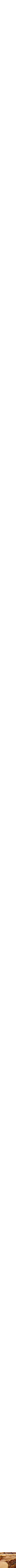 Assorti