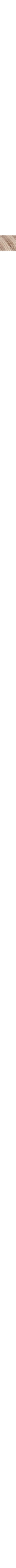 Patterned Ecru