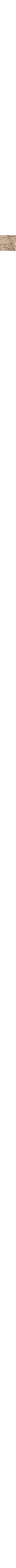 Patterned Ecru