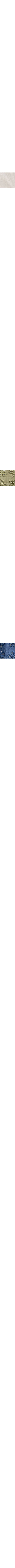 Blanc cassé