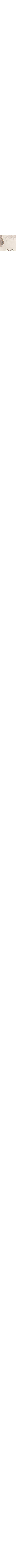 Écru à motifs