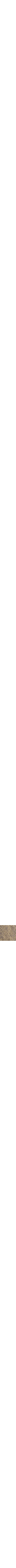 Pourpre à motifs