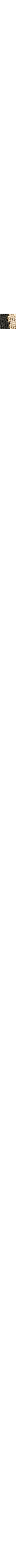 Brun à motif 