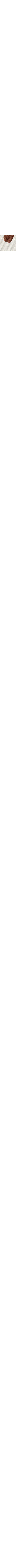 Patterned Ecru