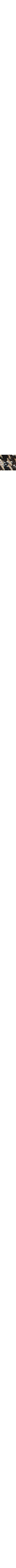 Brun à motifs