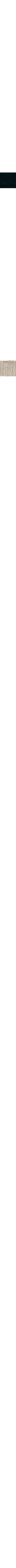 Noir à motifs
