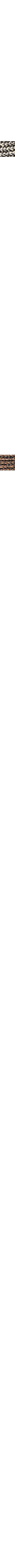 Brun à motifs
