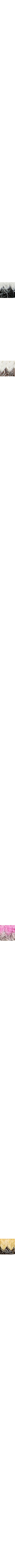 Pourpre à motifs