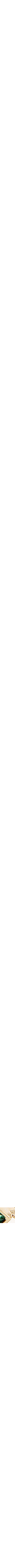 Assorti