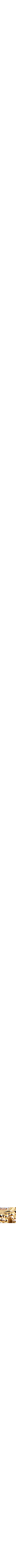 Assorti