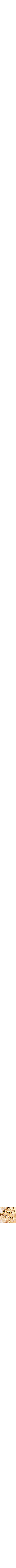 Assorti