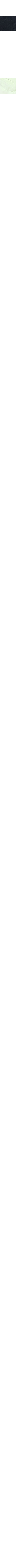 Slate Grey