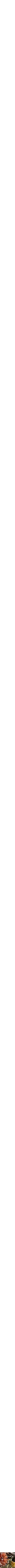 Assorti