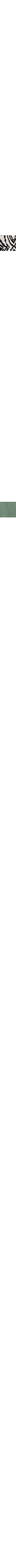 Patterned Ecru