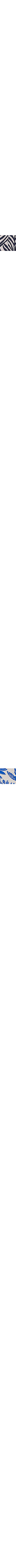 Bleu à motifs
