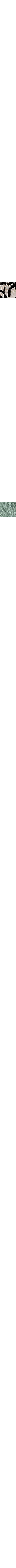 Patterned Ecru