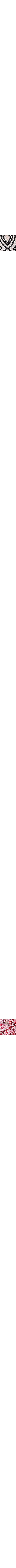 Écru à motifs