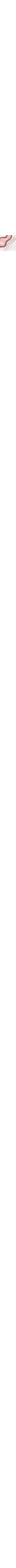 Écru à motifs