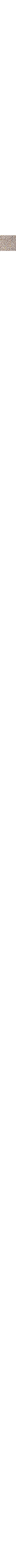 Brun à motifs